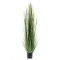 Emerald műgabonafű 150 cm
